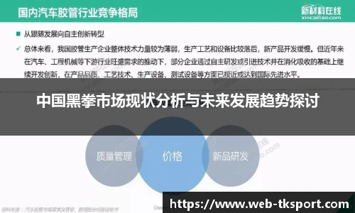 中国黑拳市场现状分析与未来发展趋势探讨