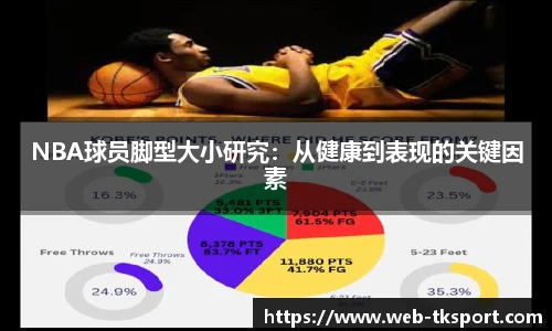 NBA球员脚型大小研究：从健康到表现的关键因素