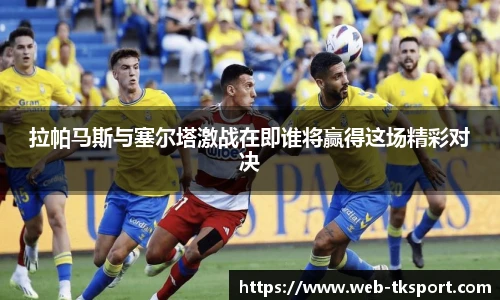 TK体育官网