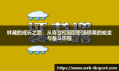 林葳的成长之路：从青涩校园到职场精英的蜕变与奋斗历程